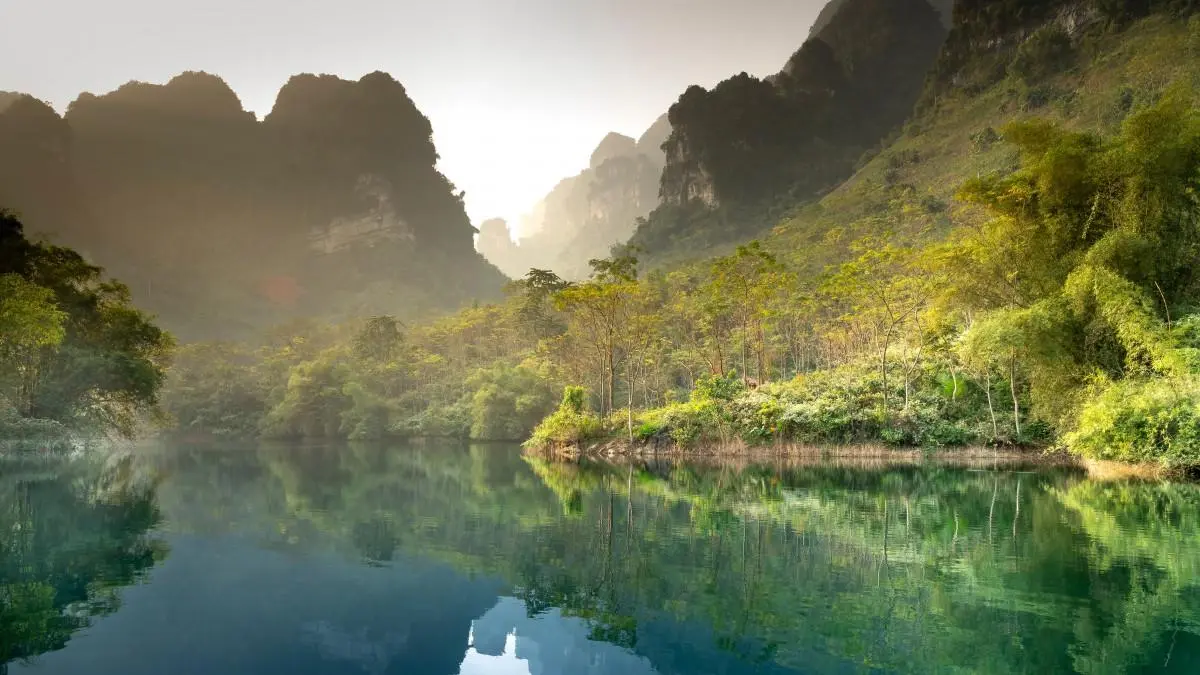 可靠性高标准独特